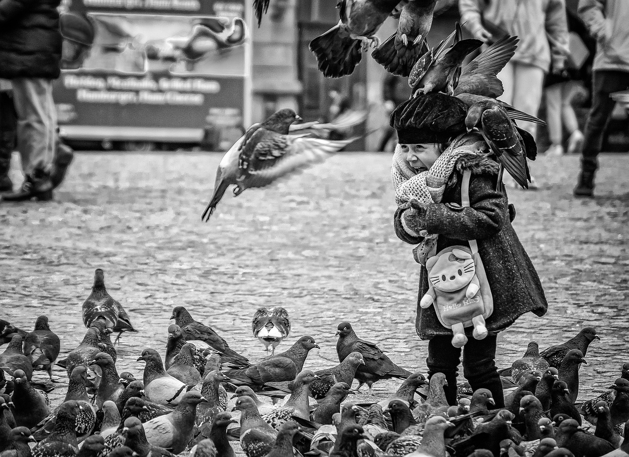 City crowds