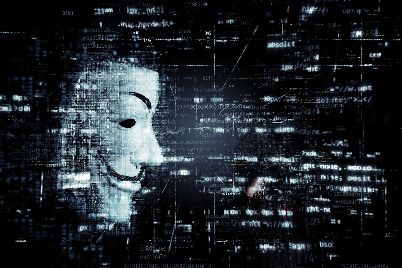 Digital identity verification