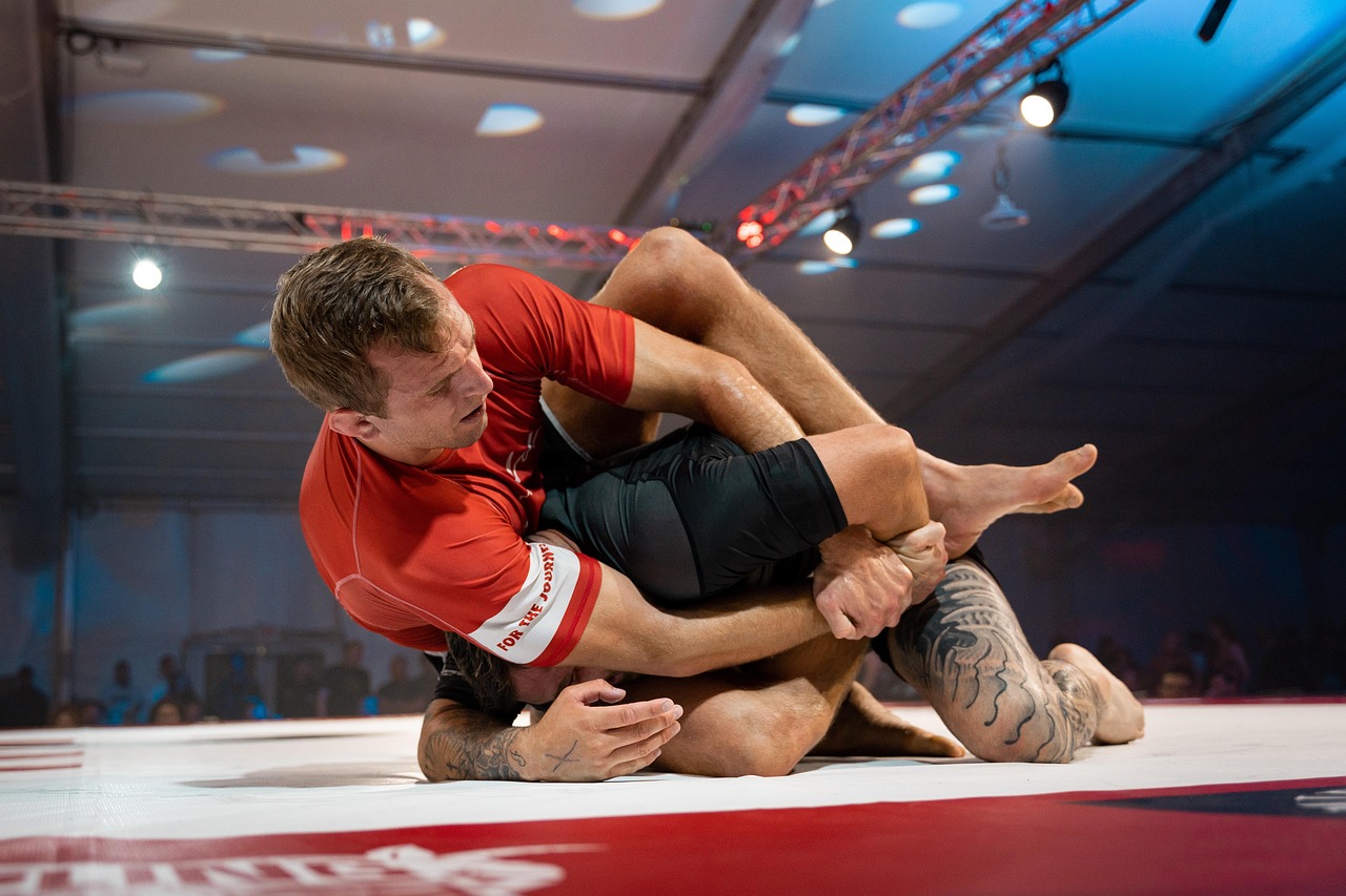 MMA betting