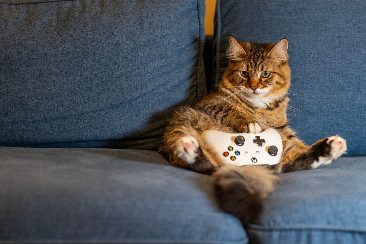 Gaming bonuses