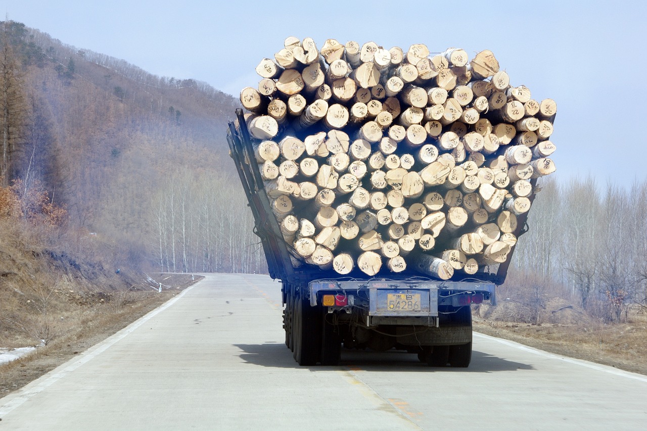 cognitive load design