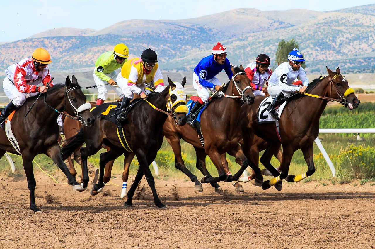 sports betting